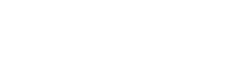 Digitalent Inc.
